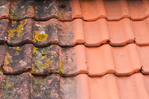 moss growth being cleaned off of roof tiles