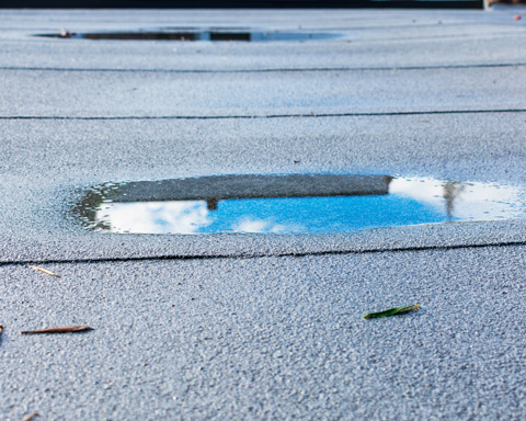 rainwater on flat roof after rain is result of drainage problem