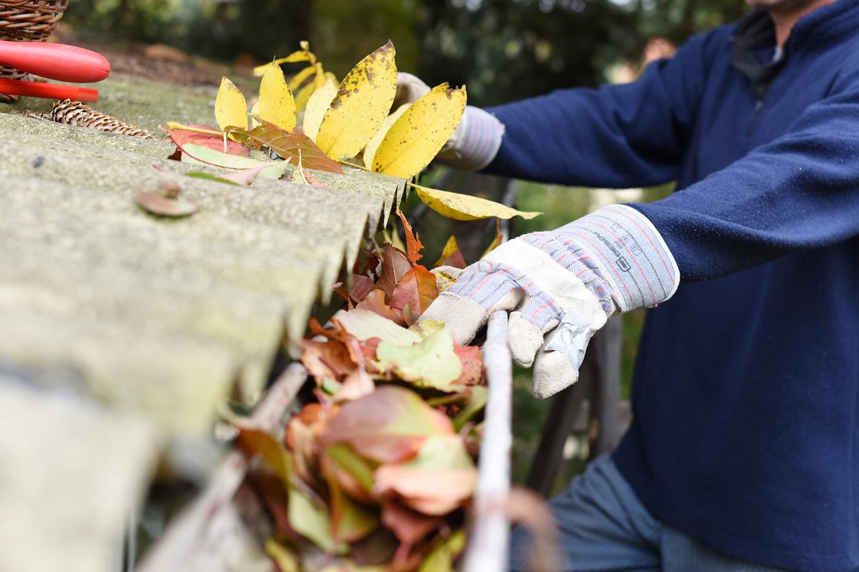 Cleaning guttering of leaves and debris